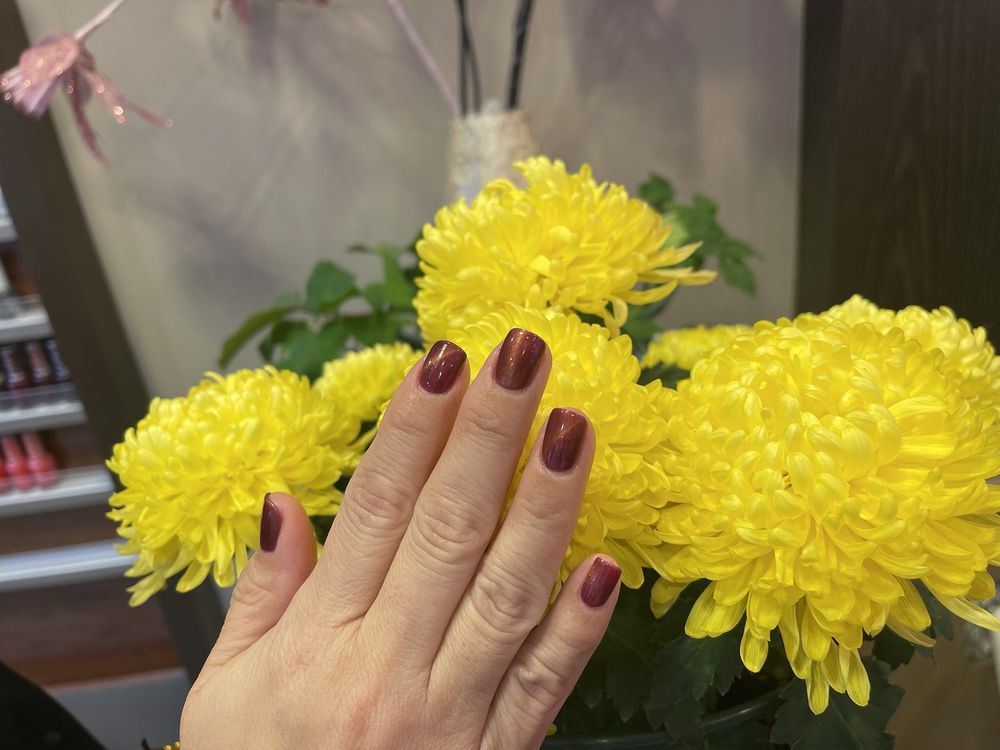 Hollywood Nail Spa Logo