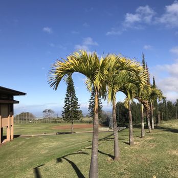 King Kekaulike High School - Middle Schools & High Schools Near Me - Makawao, Hawaii
