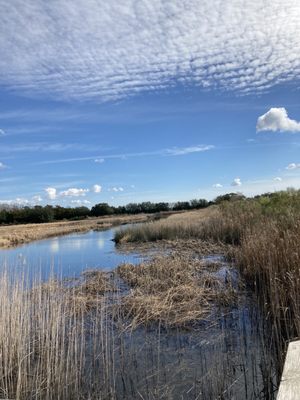 Caw Caw Interpretive Center by null