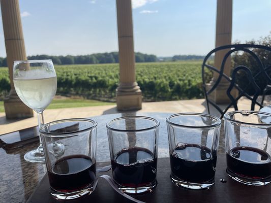 South River Vineyard by null