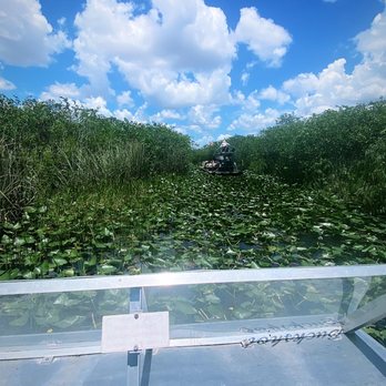 gator park - Looking for gators - Boat Tours Near Me - Miami, Florida