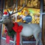 Photo of Harden's Taxidermy