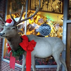 Harden's Taxidermy - Rudolph, Is that you?