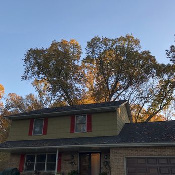 Wolff Tree and Landscape - Tree behind the house - Tree Services Near Me
