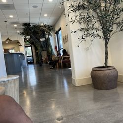 Little Smiles Pediatric Dentistry Orthodontics & Adult Dentistry - Waiting area