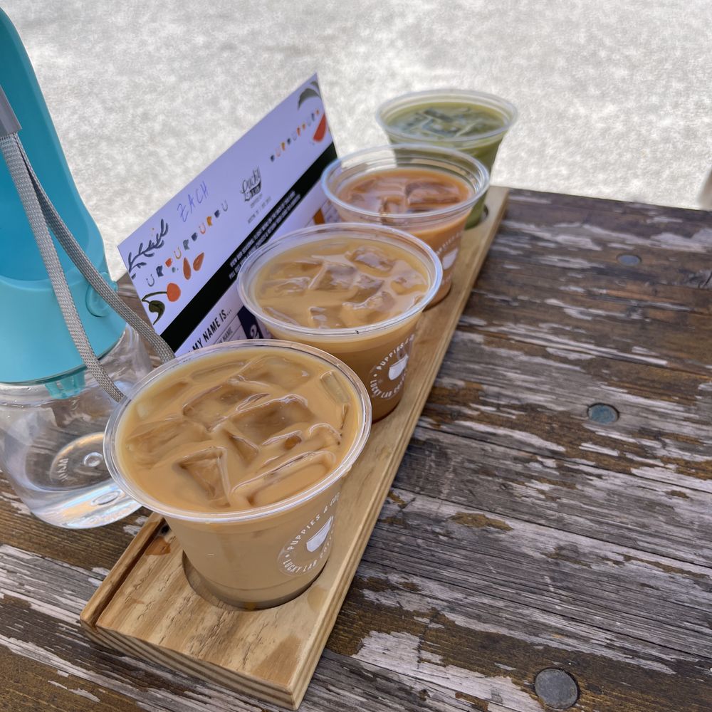 Lucky Lab Coffee - coffee flights - Desserts Near Me - Austin, Texas Lucky Lab Coffee - coffee flights - Desserts Near Me - Austin, Texas