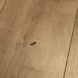 Floor & Decor