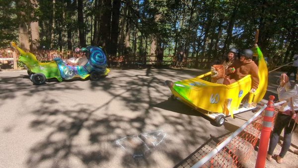Mt. Tabor Picnic A by null