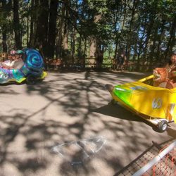 Mount Tabor Park - Soapbox Derby Let's go #TeamMonkey