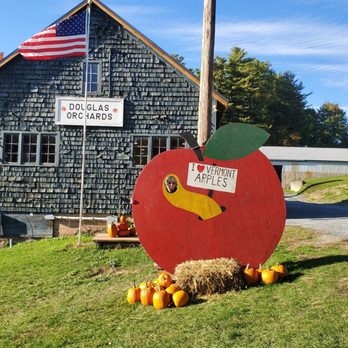 Douglas Orchards - a large apple with a sticker on it - Specialty Food Near Me - Shoreham, Vermont