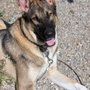 Photo of SunDog Therapy