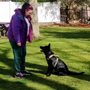 Photo of Maureen's Pawsitive Training
