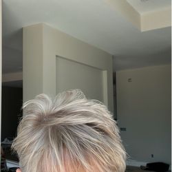 Tease Salon And Colorbar - Light and Dark streaks...so pretty!!!!