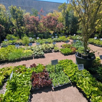 Evergreen Nursery - Nurseries & Gardening Near Me - Garden Grove, California