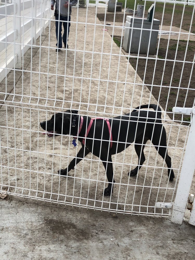 REDHAWK COMMUNITY PARK 172 Photos & 72 Reviews 44747 Redhawk Pkwy