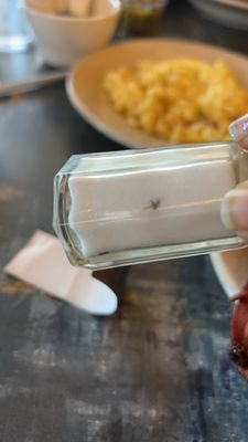 Dave's Valley Grill by null