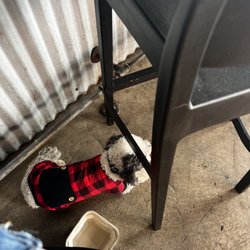 Waikiki Brewing Company - Lahaina - Koa Boa chilling.