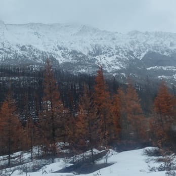 Medicine Lake - Lakes Near Me - Jasper, Alberta