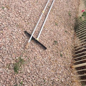 Pristine Green - this is the AFTER photo when i requested weed removal.  weeds have been sprayed and not removed. - Tree Services Near Me - Gilbert, Arizona