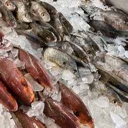Seaview Crab Company - Fish on display