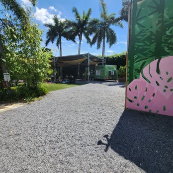 The Bamboo Grove - Nurseries & Gardening Near Me - Davie, Florida The Bamboo Grove - Nurseries & Gardening Near Me - Davie, Florida