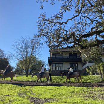 Napa Valley Trail Rides - Horseback Riding Near Me - Napa, California Napa Valley Trail Rides - Horseback Riding Near Me - Napa, California