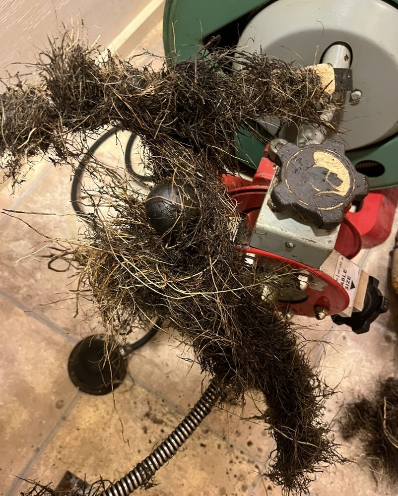 Slide of The Clogfather