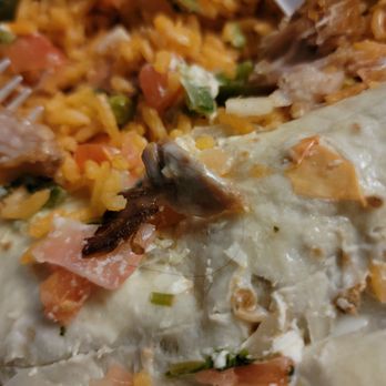 Habanero's Mexican Grill - Hair in our food. - Mexican Near Me - Clemson, South Carolina Habanero's Mexican Grill - Hair in our food. - Mexican Near Me - Clemson, South Carolina