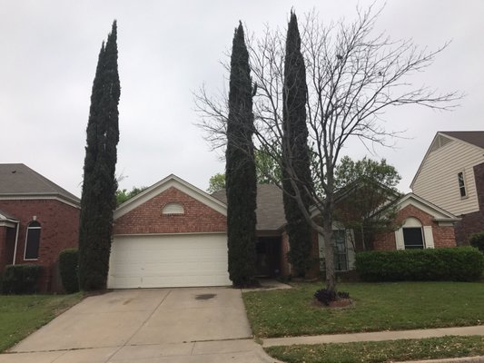 WISE TREE CARE - Updated June 2026 - 20 Photos & 29 Reviews - 1600 ...