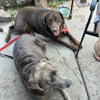 The House - Show Low - Dog friendly patio! - New American Near Me - Show Low, Arizona