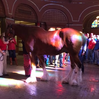 Budweiser Brewery Experience - Beer Tours Near Me - Saint Louis, Missouri Budweiser Brewery Experience - Beer Tours Near Me - Saint Louis, Missouri