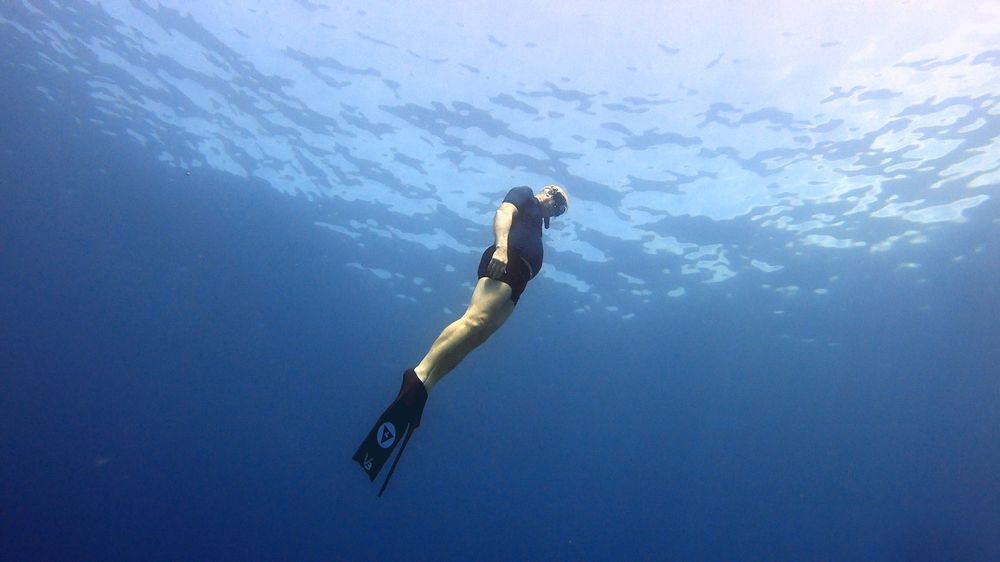 LA FREEDIVING Updated April 2024 Los Angeles, California Free