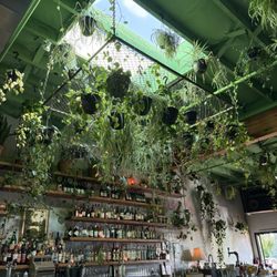 Flamingo Room - Bar
