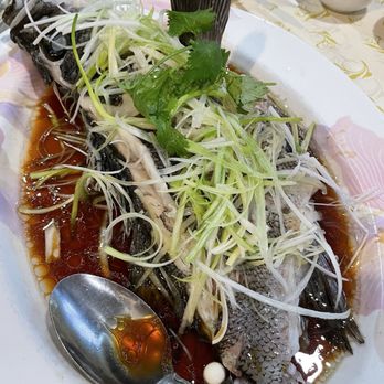 New Port Restaurant - Steam Fish - Dim Sum Near Me - Sunnyvale, California New Port Restaurant - Steam Fish - Dim Sum Near Me - Sunnyvale, California