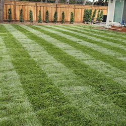 Merlos Landscaping - New Grass Installation