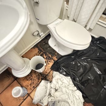 Yellow Bee Plumbing - Sewage backup he cleaned - Plumbing Near Me Yellow Bee Plumbing - Sewage backup he cleaned - Plumbing Near Me