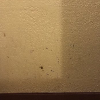 Americas Best Value Inn Canton, MS - Nasty walls..... - Hotels Near Me - Canton, Mississippi