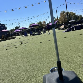 Skiptown - Dog Parks Near Me - Denver, Colorado