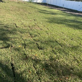 Eddie's Sod - My new sod - Nurseries & Gardening Near Me - Brooksville, Florida