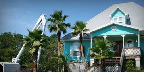 Arbor Pro of Mississippi - tree service in Vancleave, MS