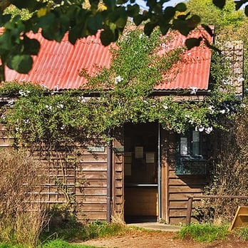 The Orchard Tea Garden - Tea Rooms Near Me - Cambridge, CAM The Orchard Tea Garden - Tea Rooms Near Me - Cambridge, CAM
