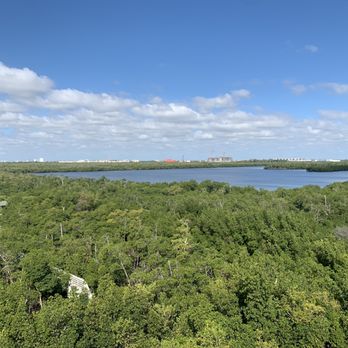 Anne Kolb Nature Center - Tower views - Parks Near Me - Hollywood, Florida
