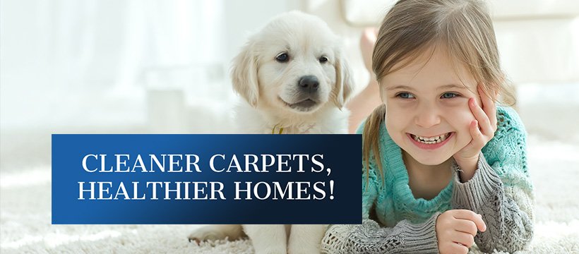 Dirty Dog Carpet Cleaning - upholstery in Avon, OH