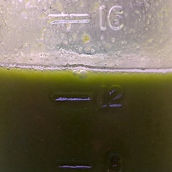 Fresh Kitchen + Juice Bar - measurements up-close and personal! - Vegan Near Me - Toronto, Ontario Fresh Kitchen + Juice Bar - measurements up-close and personal! - Vegan Near Me - Toronto, Ontario