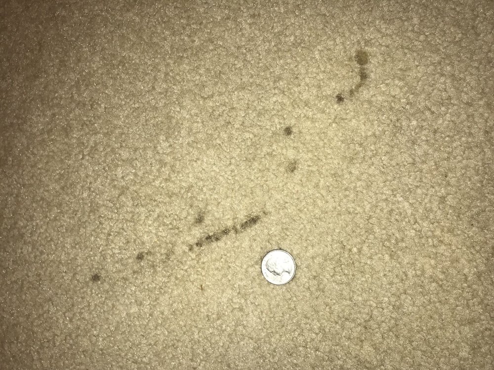 Slide of US Plumbing Heating & Air Conditioning