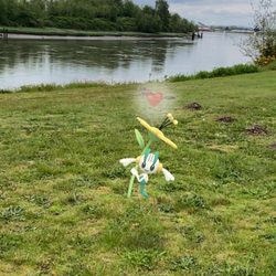 Langus Riverfront Park - Great place to play Pokémon!