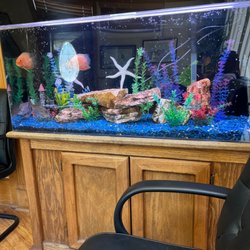 Poole Chiropractic - Great waiting room! Tons of animal life