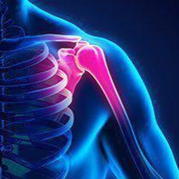 William Schell, MD - Orthopedists Near Me - New York, New York William Schell, MD - Orthopedists Near Me - New York, New York