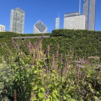 Lurie Garden - Botanical Gardens Near Me - Chicago, Illinois Lurie Garden - Botanical Gardens Near Me - Chicago, Illinois