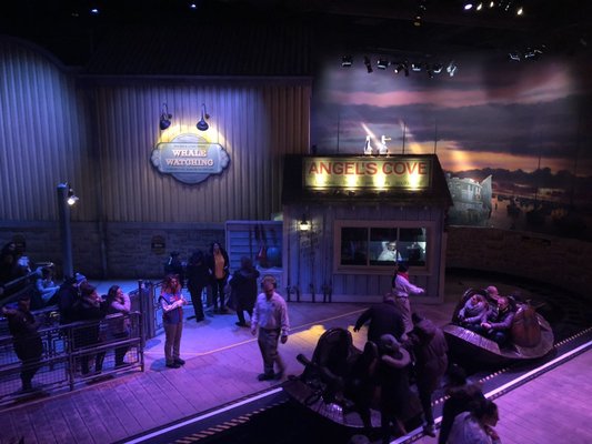 Crush's Coaster by null